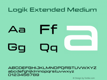 Logik Extended Medium Version 1.100;FEAKit 1.0图片样张
