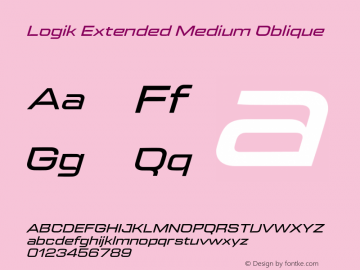 Logik Extended Medium Oblique Version 1.100;FEAKit 1.0图片样张