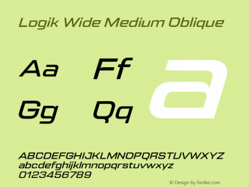 Logik Wide Medium Oblique Version 1.100;FEAKit 1.0图片样张