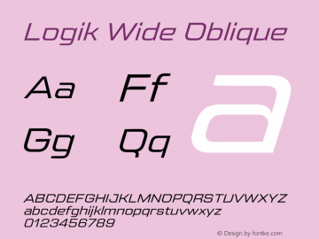 Logik Wide Oblique Version 1.100;FEAKit 1.0图片样张