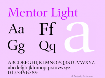 Mentor Light Version 1.00图片样张