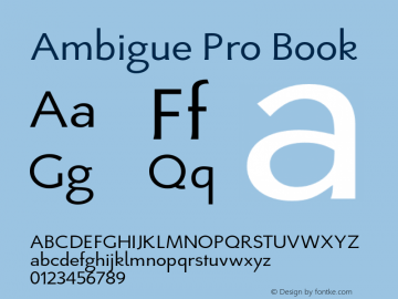 AmbiguePro-Book Version 1.00图片样张