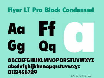Flyer LT Pro Black Condensed Version 1.00 Build 1000图片样张