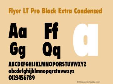 Flyer LT Pro Black Extra Condensed Version 1.00 Build 1000图片样张