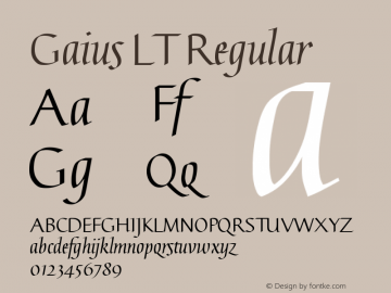 Gaius LT Straight Version 2.01;2005图片样张