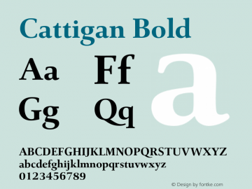 Cattigan Bold Version 1.001;hotconv 1.0.109;makeotfexe 2.5.65596图片样张