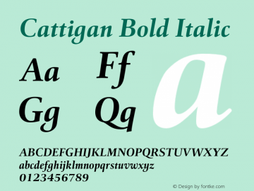 Cattigan Bold Italic Version 1.001;hotconv 1.0.109;makeotfexe 2.5.65596图片样张