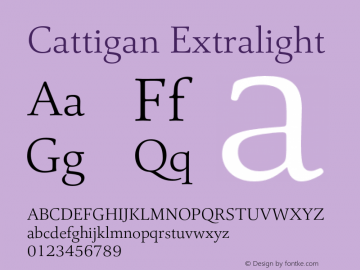Cattigan Extralight Version 1.001;hotconv 1.0.109;makeotfexe 2.5.65596图片样张