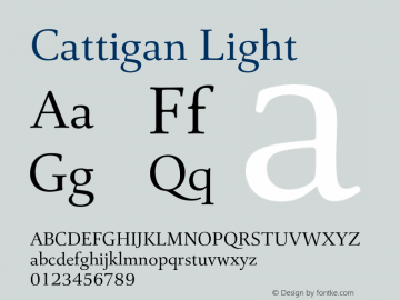 Cattigan Light Version 1.001;hotconv 1.0.109;makeotfexe 2.5.65596图片样张