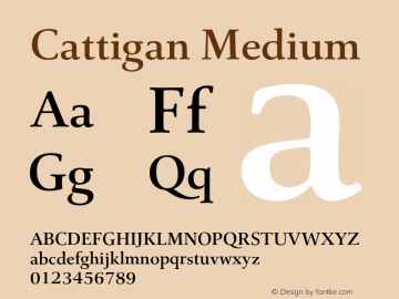 Cattigan Medium Version 1.001;hotconv 1.0.109;makeotfexe 2.5.65596图片样张