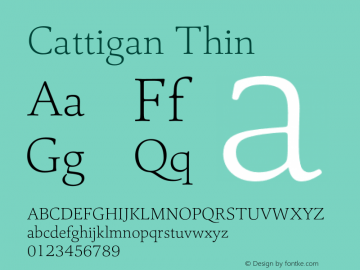 Cattigan Thin Version 1.001;hotconv 1.0.109;makeotfexe 2.5.65596图片样张