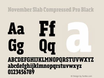 November Slab Comp Pro Blk Version 1.0; 2018图片样张