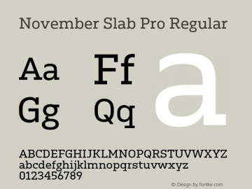 November Slab Pro Reg Version 1.0; 2018图片样张