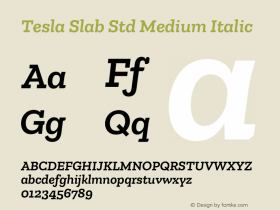 Tesla Slab Std Medium Italic Version 5.0; 2015图片样张