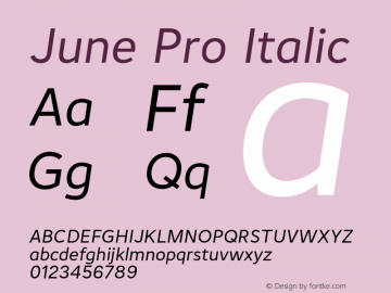 June Pro Italic Version 1.012图片样张