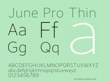 June Pro Thin Version 1.012图片样张