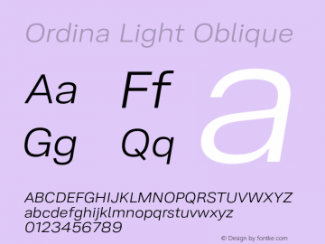 Ordina Light Oblique Version 1.005;FEAKit 1.0图片样张