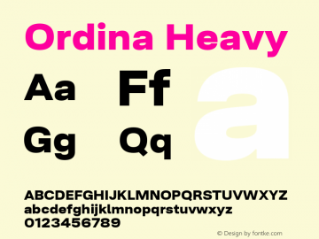 Ordina Heavy Version 1.005;FEAKit 1.0图片样张