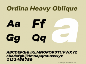Ordina Heavy Oblique Version 1.005;FEAKit 1.0图片样张