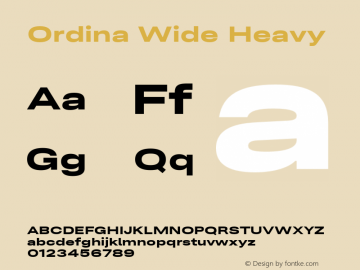 Ordina Wide Heavy Version 1.007;FEAKit 1.0图片样张