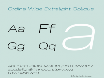Ordina Wide Extralight Oblique Version 1.007;FEAKit 1.0图片样张