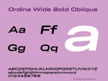 Ordina Wide Bold Oblique Version 1.007;FEAKit 1.0图片样张