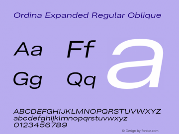Ordina Expanded Regular Oblique Version 1.007;FEAKit 1.0图片样张