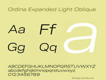 Ordina Expanded Light Oblique Version 1.007;FEAKit 1.0图片样张