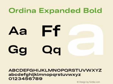 Ordina Expanded Bold Version 1.007;FEAKit 1.0图片样张