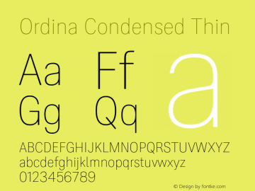Ordina Condensed Thin Version 1.007;FEAKit 1.0图片样张