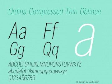 Ordina Compressed Thin Oblique Version 1.007;FEAKit 1.0图片样张