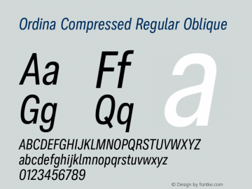 Ordina Compressed Regular Oblique Version 1.007;FEAKit 1.0图片样张