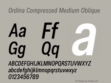 Ordina Compressed Medium Oblique Version 1.007;FEAKit 1.0图片样张