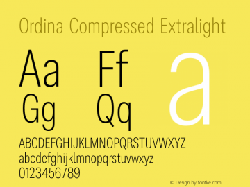 Ordina Compressed Extralight Version 1.007;FEAKit 1.0图片样张