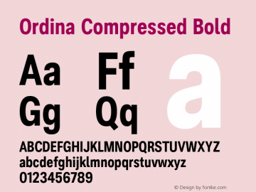 Ordina Compressed Bold Version 1.007;FEAKit 1.0图片样张