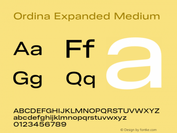 Ordina Expanded Medium Version 1.007;FEAKit 1.0图片样张