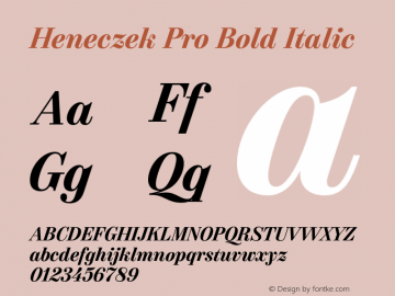 Heneczek Pro Bold Italic Version 1.009;PS 001.009;hotconv 1.0.88;makeotf.lib2.5.64775图片样张
