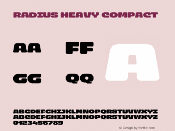 Radius Heavy Compact Version 1.000;FEAKit 1.0图片样张