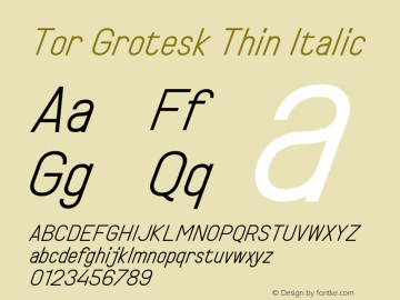 Tor Grotesk Thin Italic Version 1.001;FEAKit 1.0图片样张