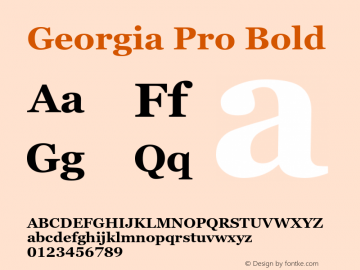 Georgia Pro Bold Version 6.02图片样张