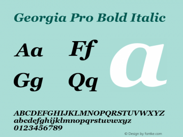 Georgia Pro Bold Italic Version 6.02图片样张