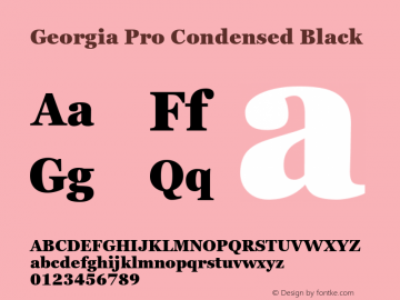 Georgia Pro Condensed Black Version 6.02图片样张