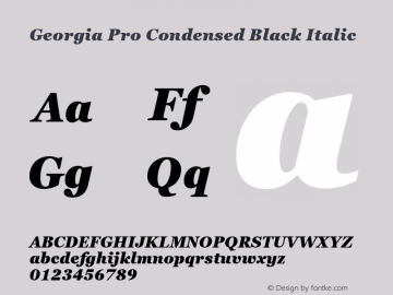 Georgia Pro Condensed Black Italic Version 6.02图片样张