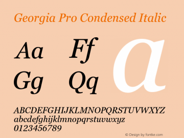 Georgia Pro Condensed Italic Version 6.02图片样张