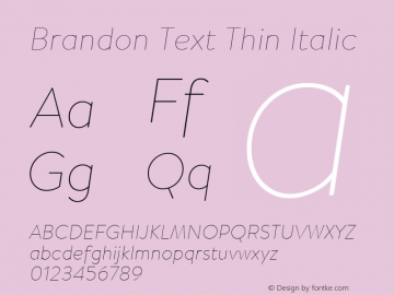 Brandon Text Thin Italic Version 2.000图片样张