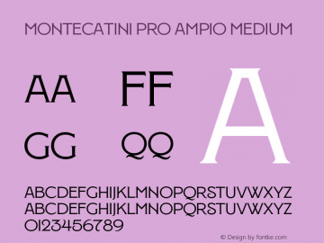 Montecatini Pro Ampio Medium Version 1.025图片样张