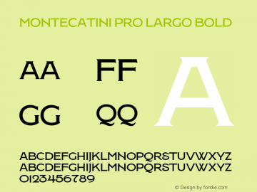Montecatini Pro Largo Bold Version 1.025图片样张