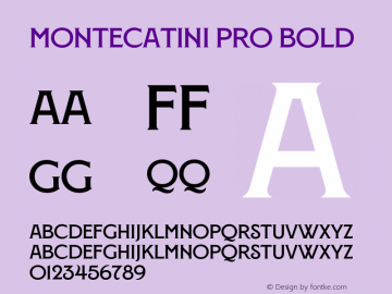 Montecatini Pro Normale Bold Version 1.025图片样张