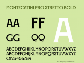 Montecatini Pro Stretto Bold Version 1.025图片样张