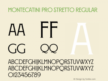 Montecatini Pro Stretto Regular Version 1.025图片样张